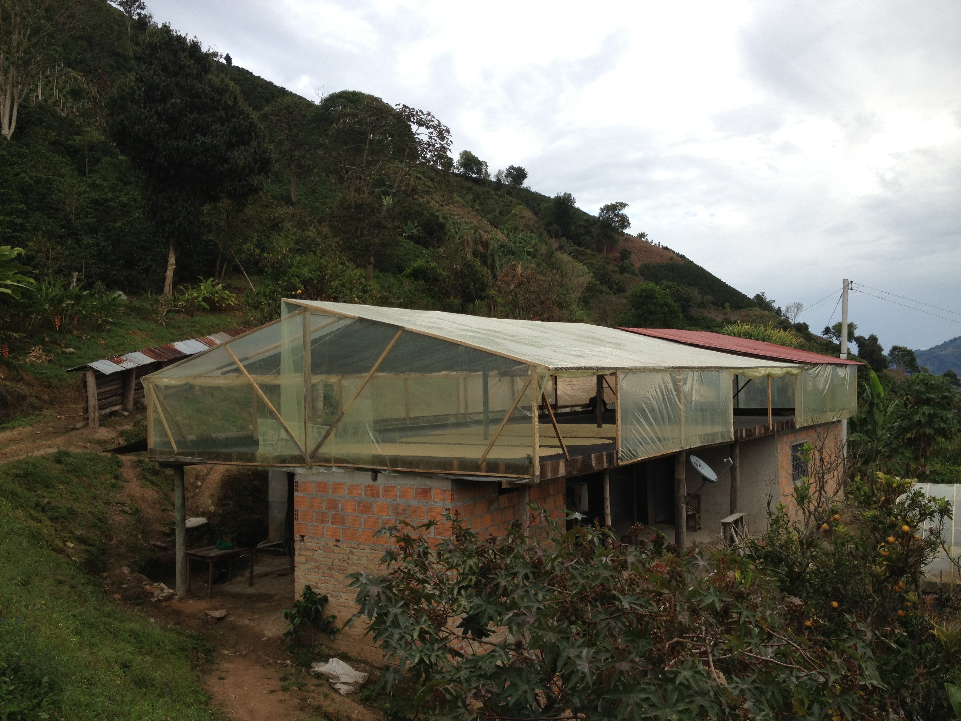 Coffee 10 oz - Parcero, Colombia