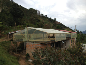 Coffee 10 oz - Parcero, Colombia