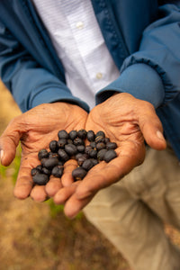 Coffee 10 oz - Mulish Natural, Ethiopia