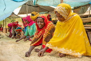 Coffee 10 oz - Mulish Natural, Ethiopia