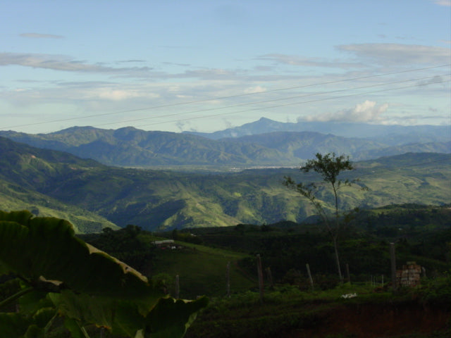 Coffee 10 oz - Parcero, Colombia