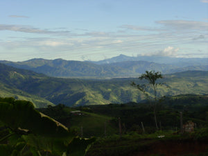 Coffee 10 oz - Parcero, Colombia